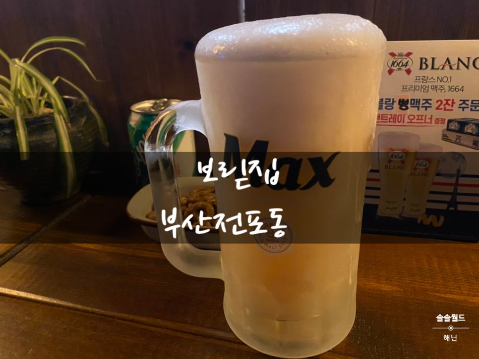 보릳집 이미지