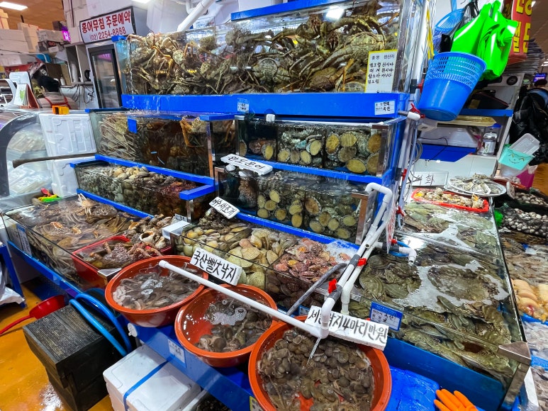 대신수산 이미지