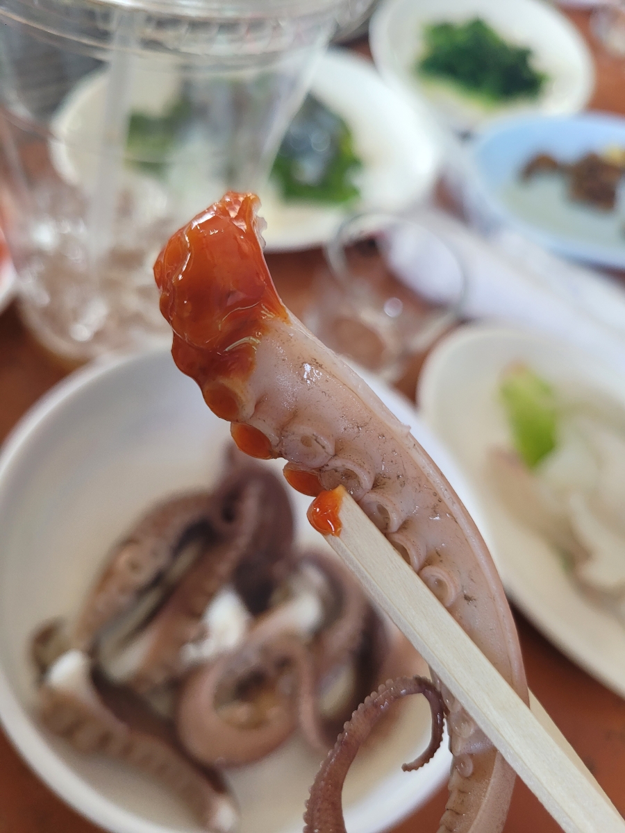 해순네 이미지