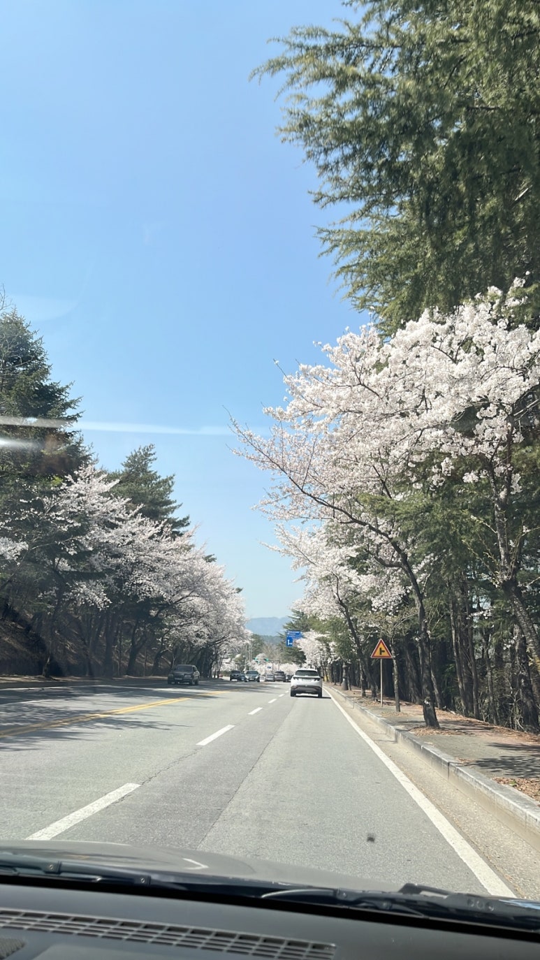 외동밀면 이미지