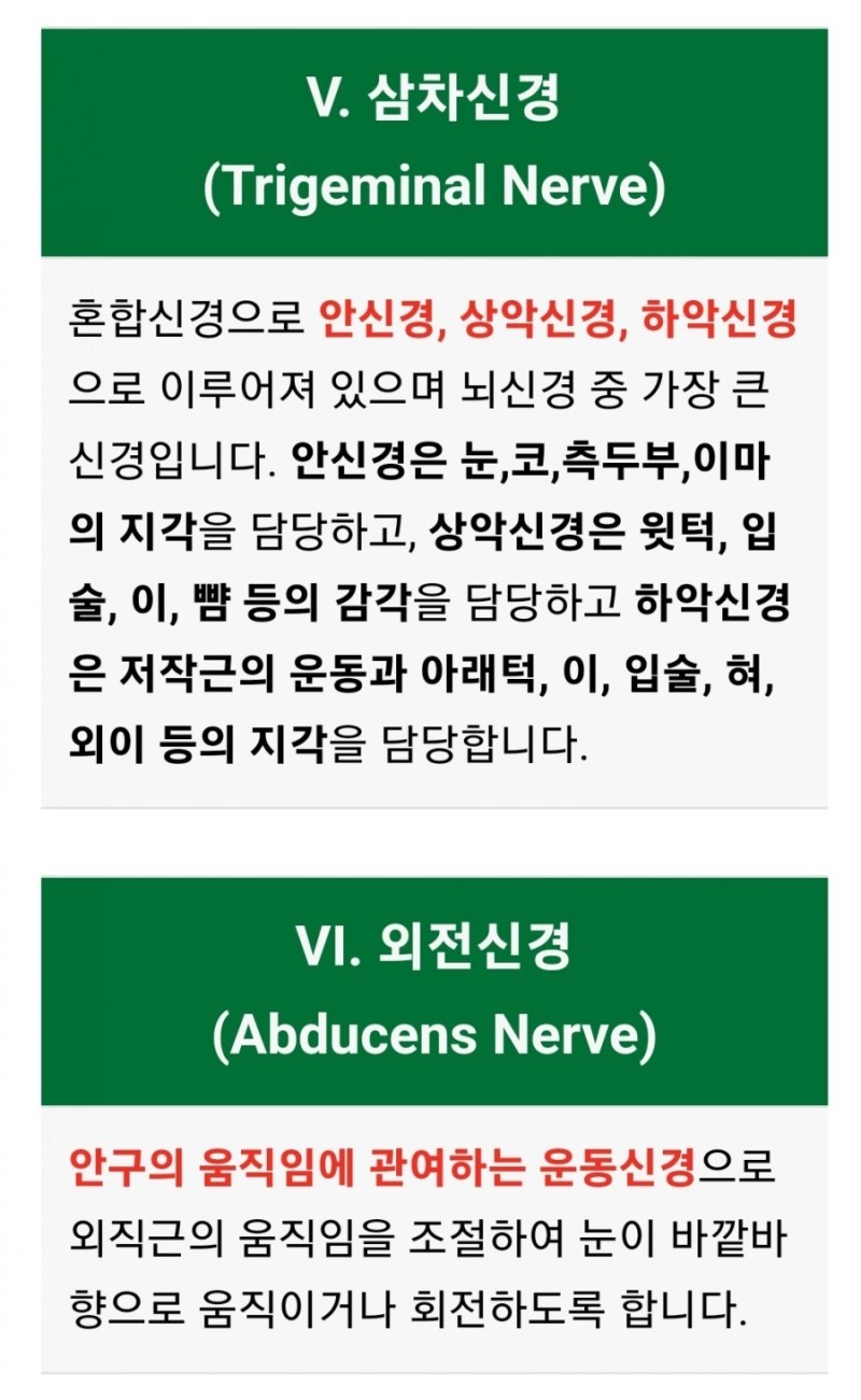 테라피피부관리실 이미지