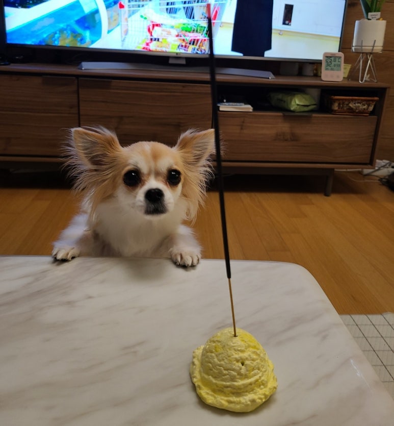 삼송잡화점 이미지