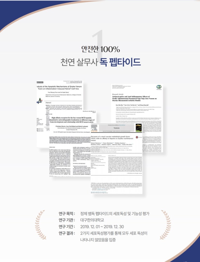 와이인터내셔널 이미지