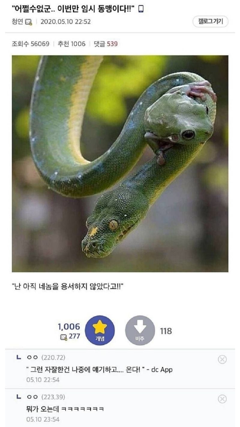 머니아카데미아 이미지