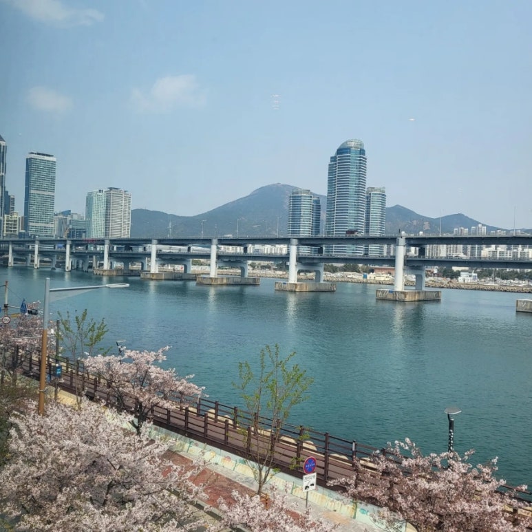 명지 호프 이미지