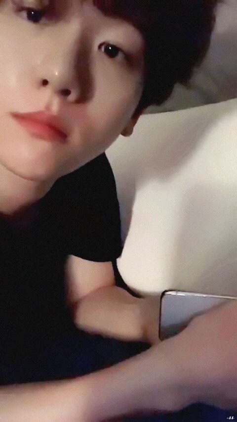 낙낙 이미지