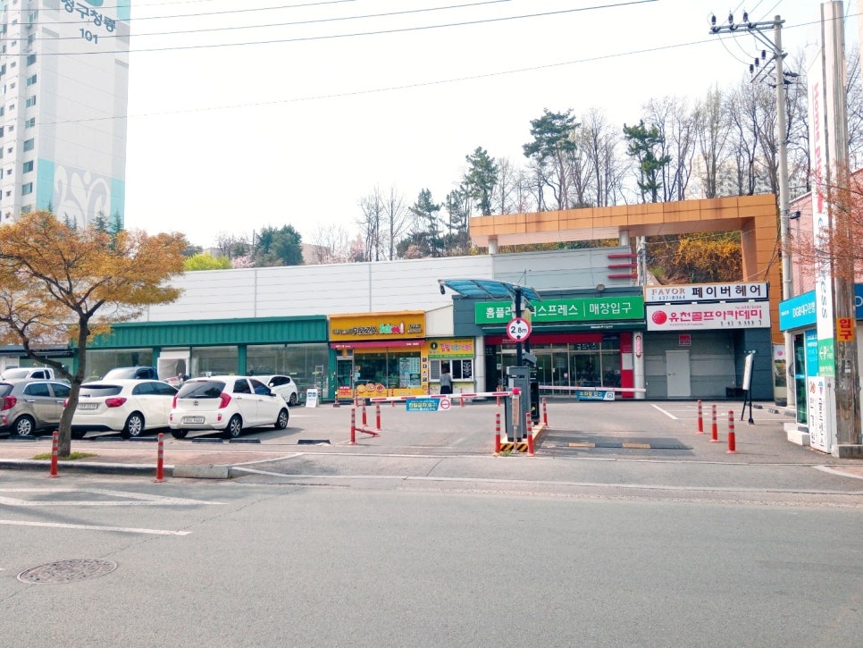 봄이네꽃화원 이미지