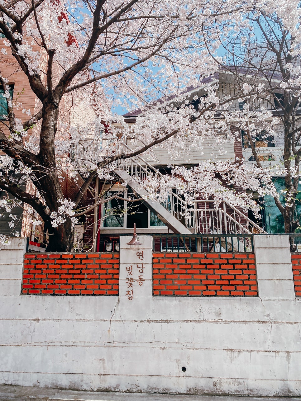 연남동벚꽃집 이미지