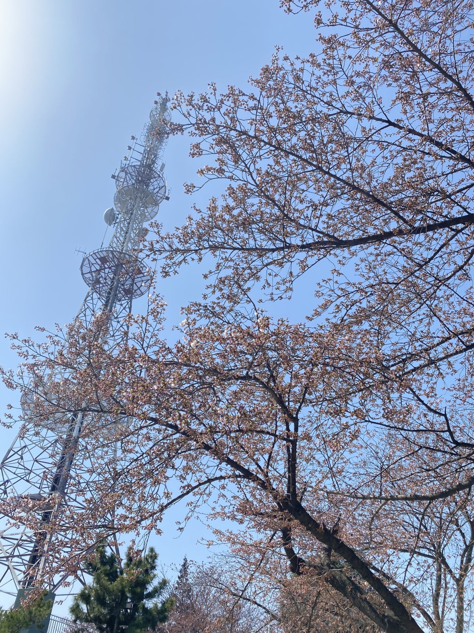 수봉공원광장매점 이미지