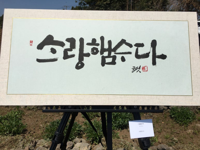 혼디가자 이미지