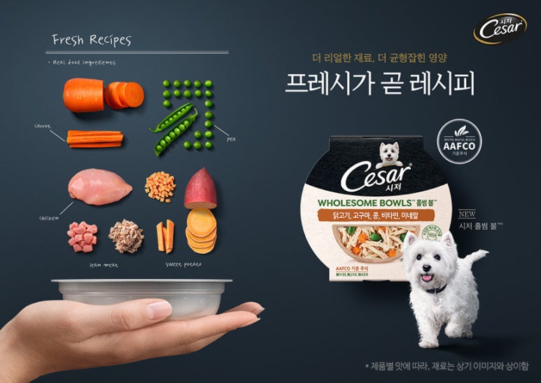 (주)홀썸 이미지