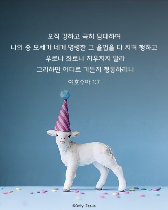 성경푸드 이미지