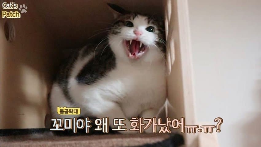 가인쉼터 이미지