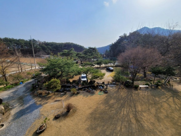 보헤미안애견펜션 이미지
