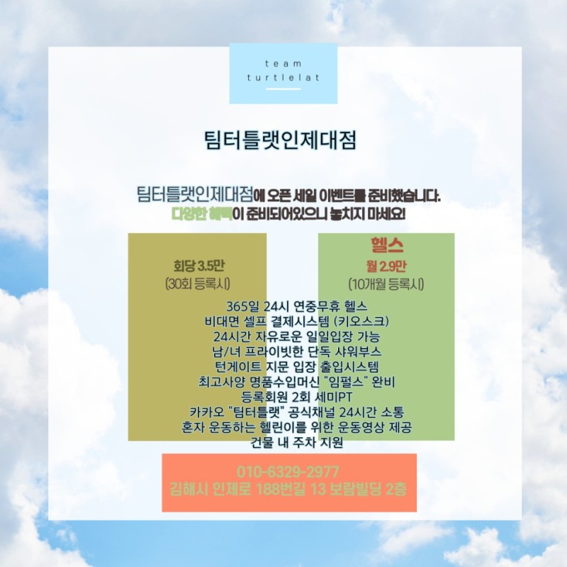 팀터틀랫김해 이미지