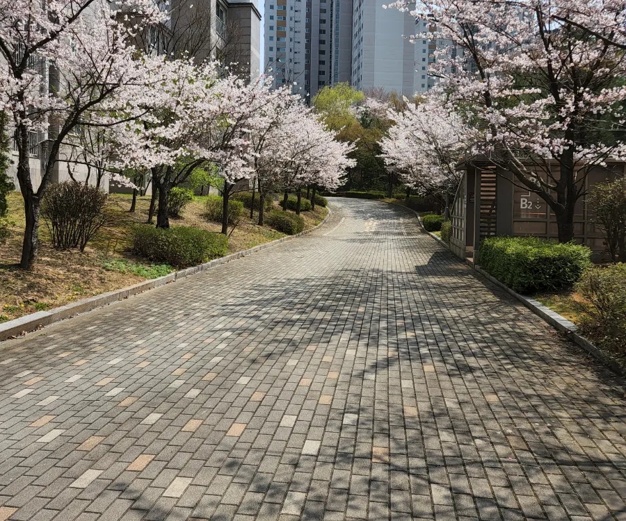 콩이랑 베리랑 이미지