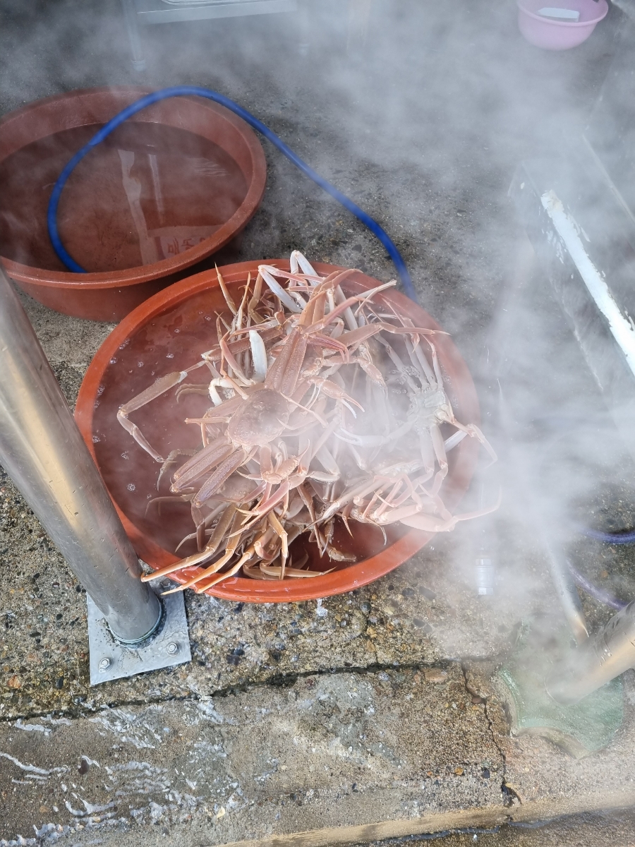 영남초장집 이미지
