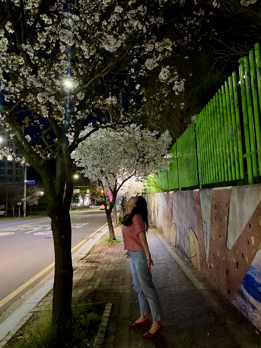 꺄레 이미지