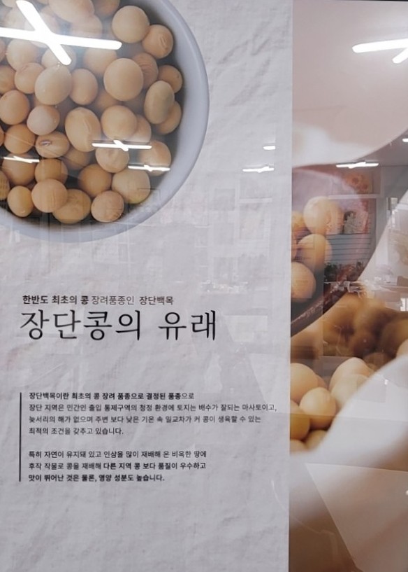 콩마루 사임당두부 이미지