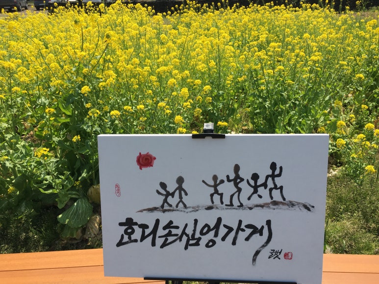 혼디가자 이미지