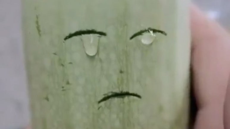 온유네닭매운탕 이미지