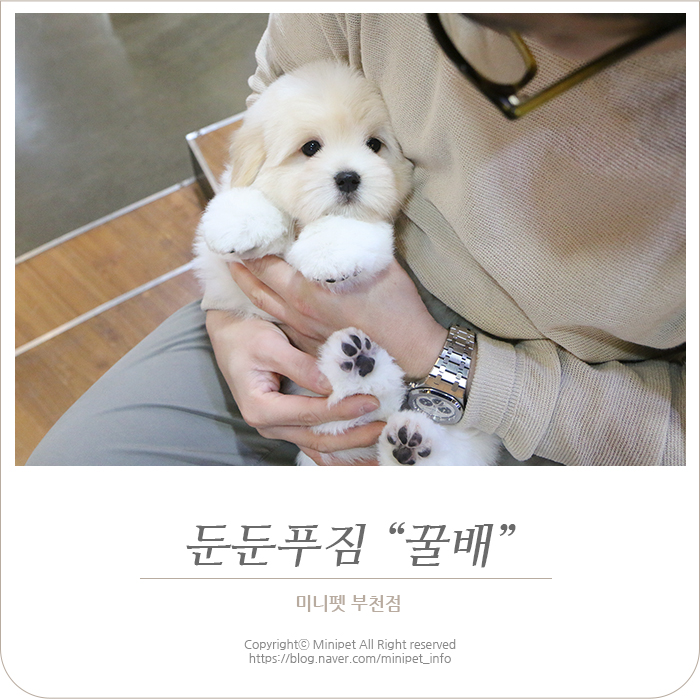두둥 이미지