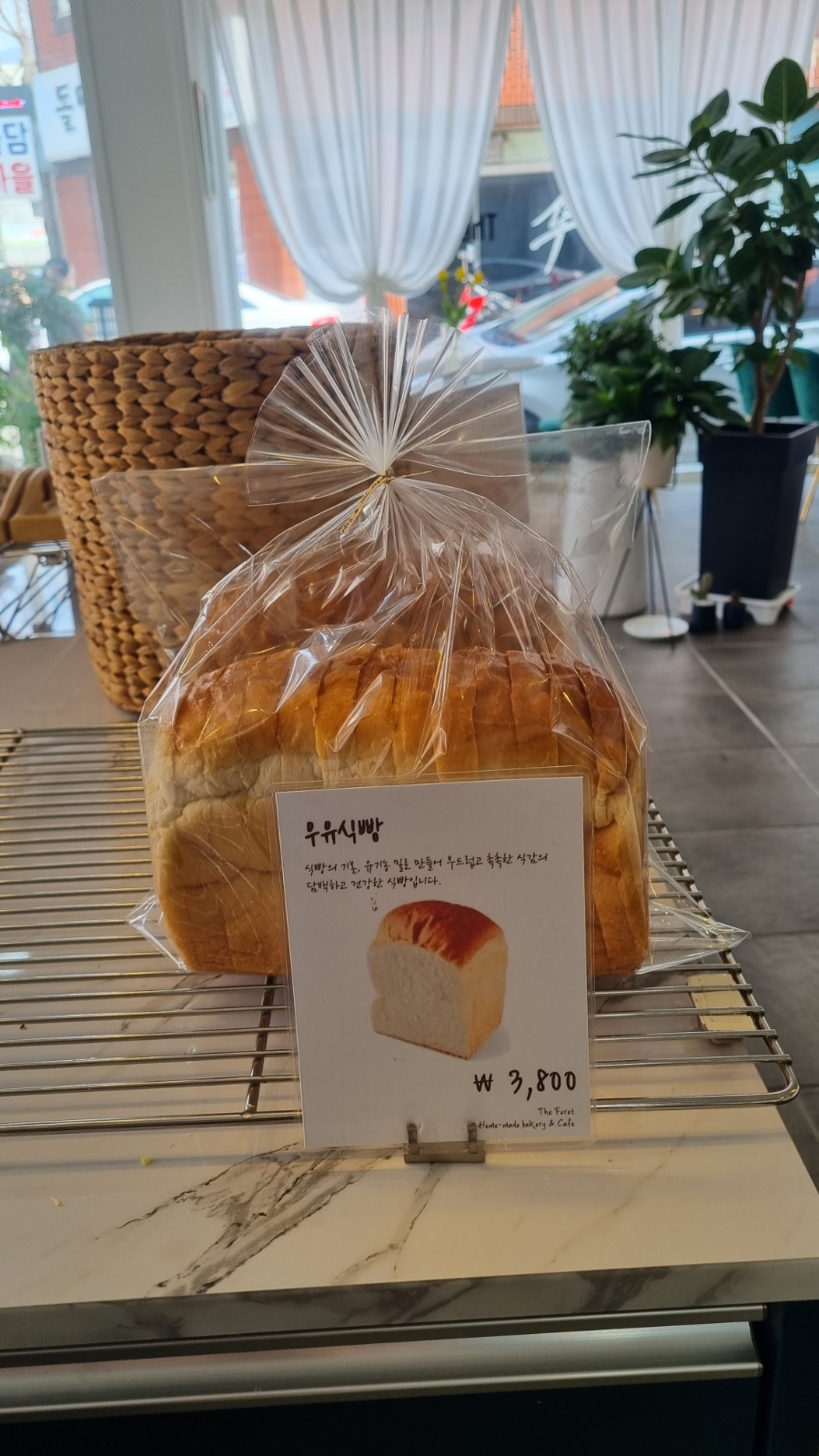 더포렛 이미지