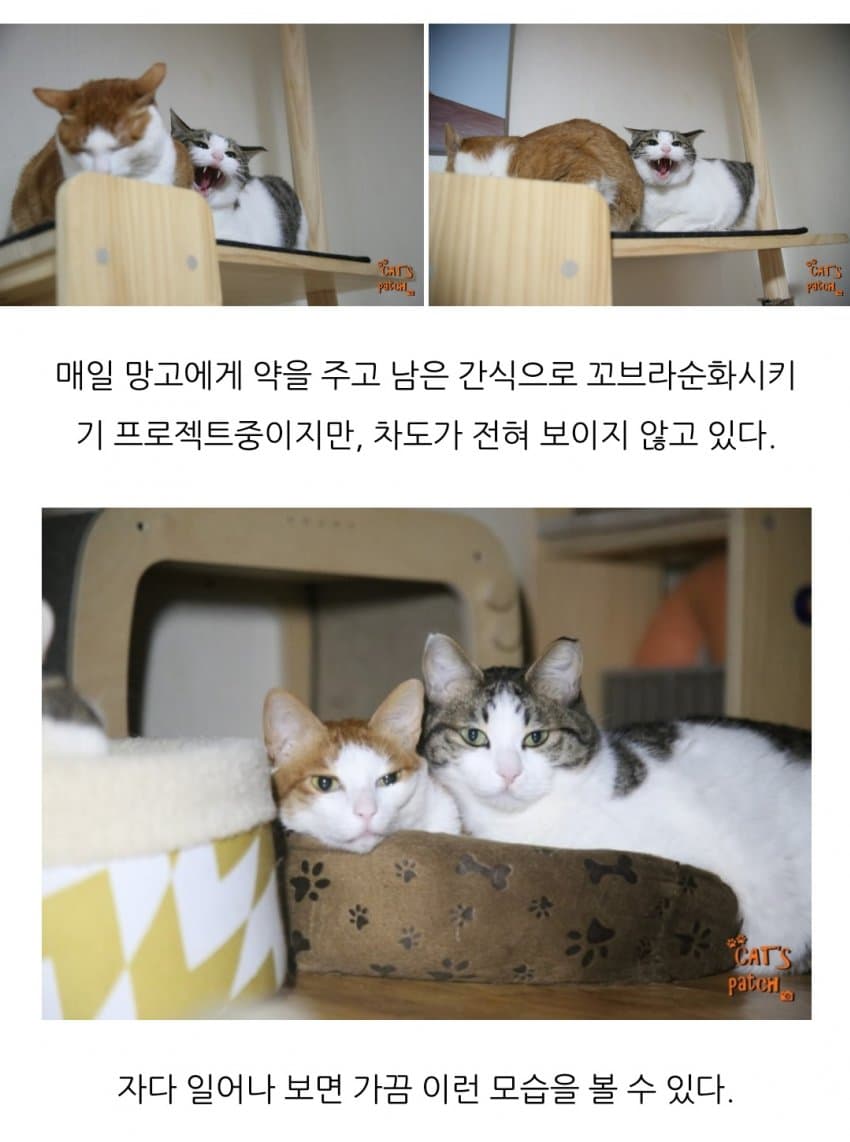 가인쉼터 이미지