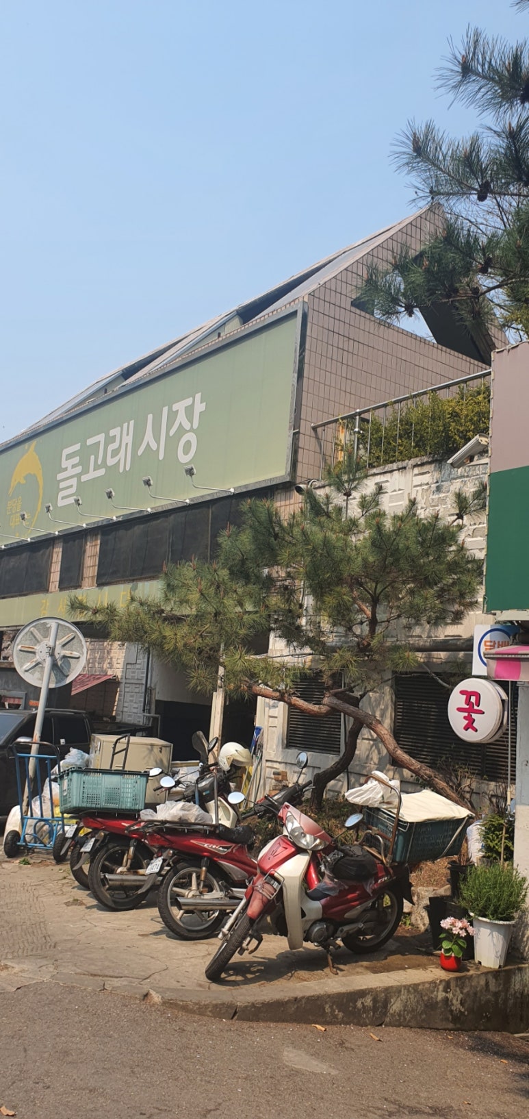 돌고래손칼국수 이미지