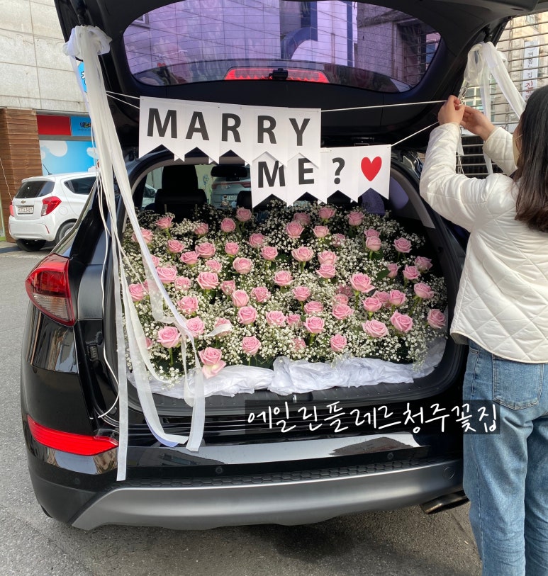에일린플레르 이미지