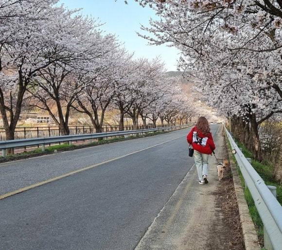 안터686 이미지