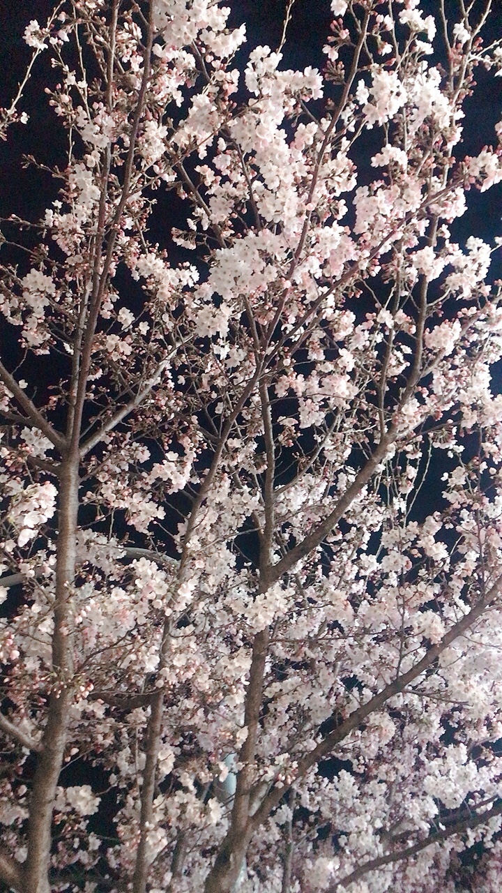 삼남매소곱창 이미지