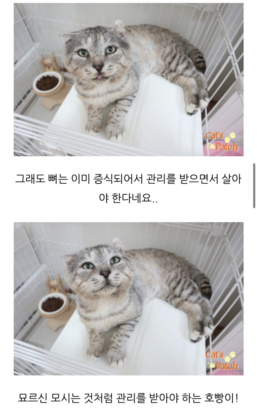 가인쉼터 이미지
