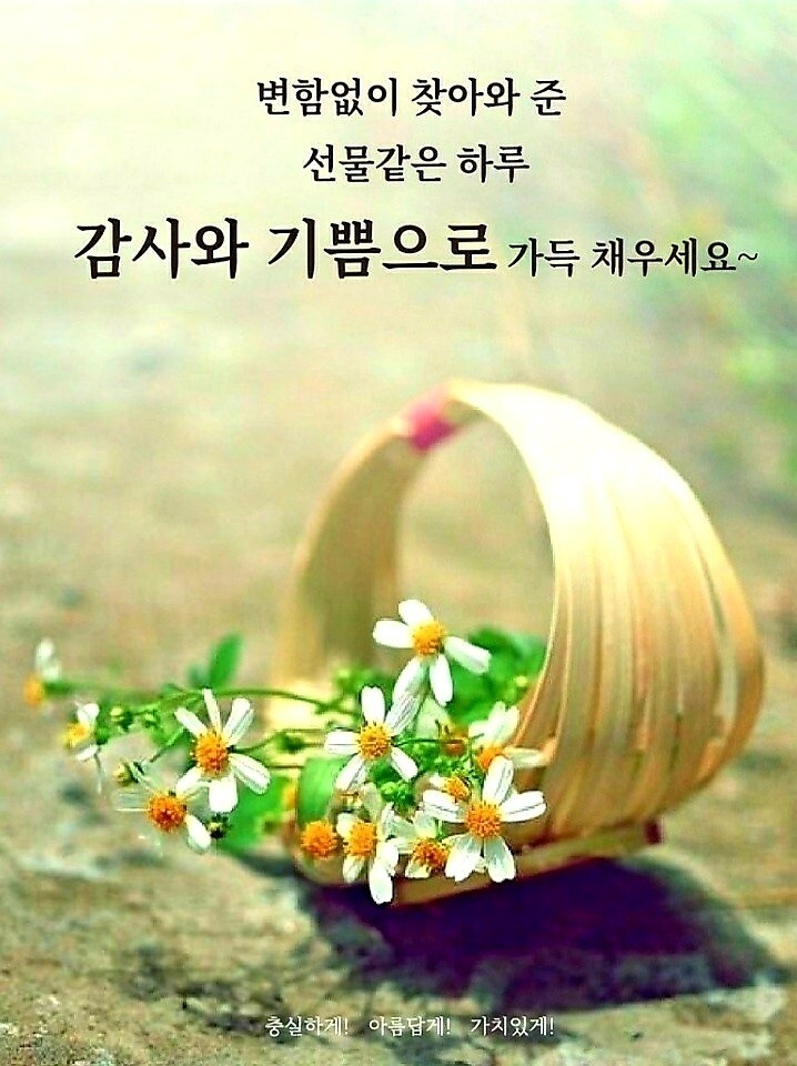 바울복사 이미지