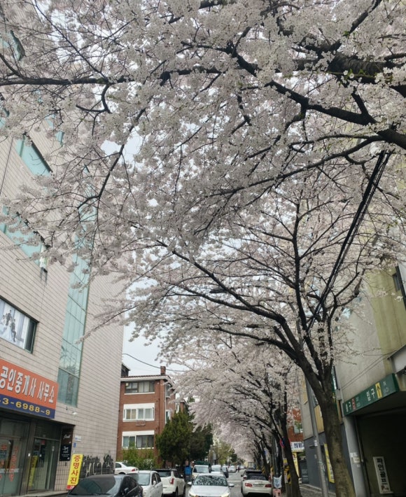 세븐일레븐(당인동점) 이미지