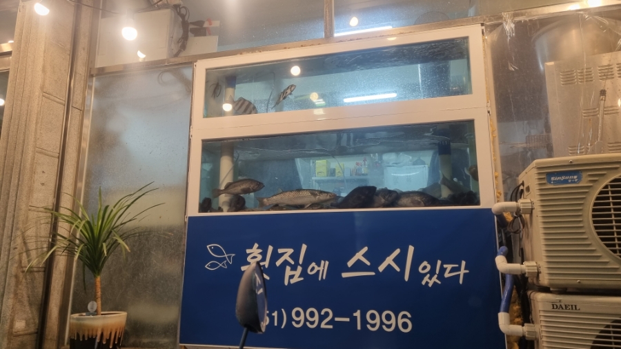 횟집에스시있다 이미지