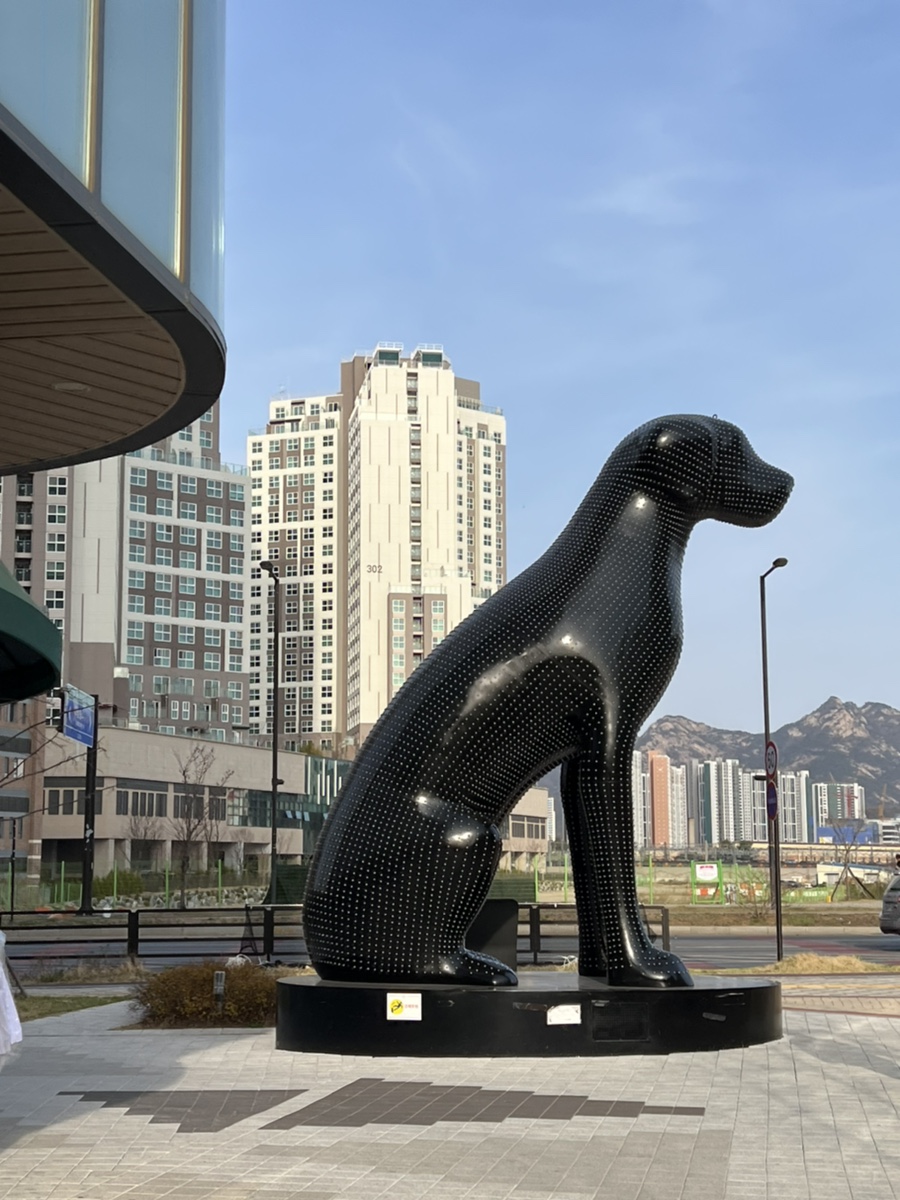 독스힐 이미지