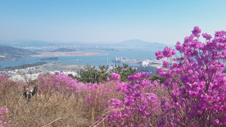 꽃천지휴게소 이미지