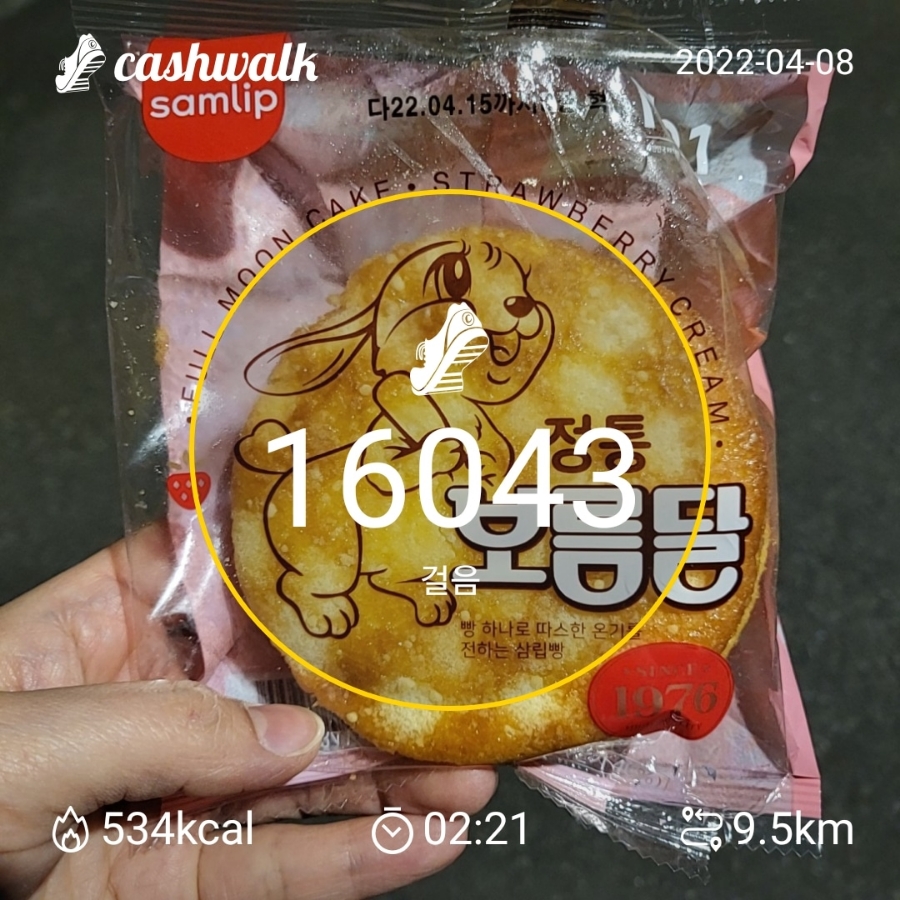 오꼬노미야끼금 이미지