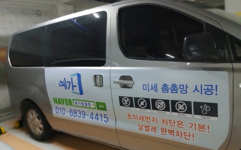 노란자국수 이미지