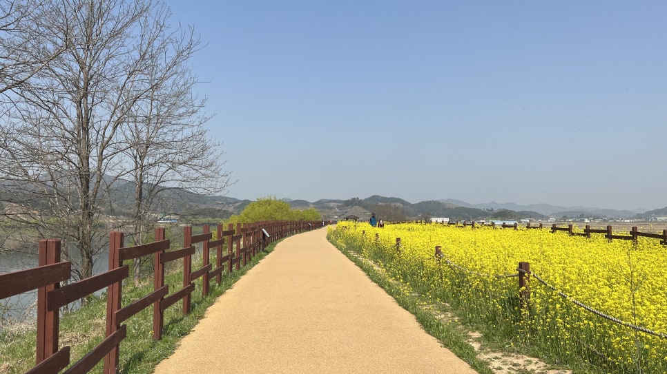 가월카페 이미지