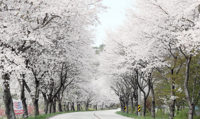 경성유통 이미지