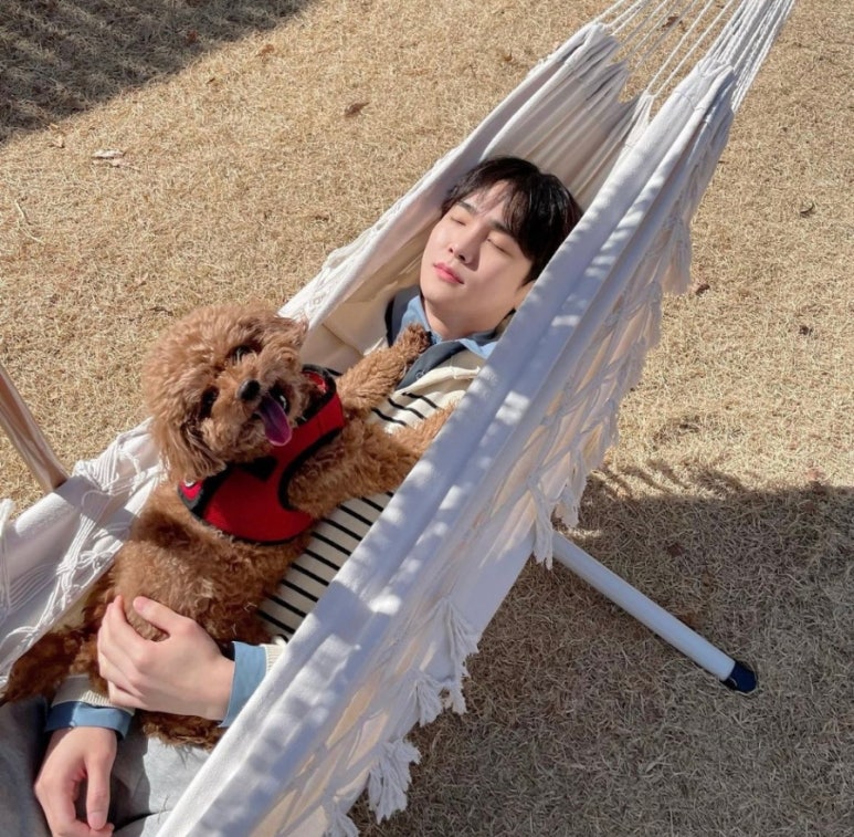 고운일상 이미지