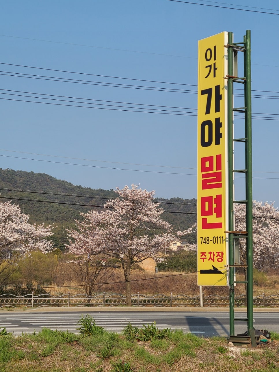 이가가야밀면 이미지