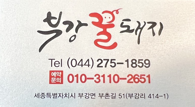 부강 꿀돼지 이미지