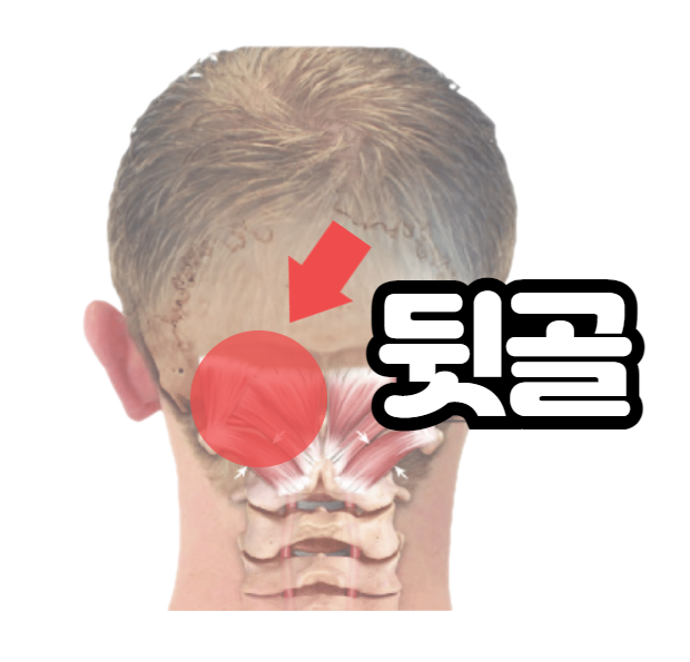 해늘한의원 이미지