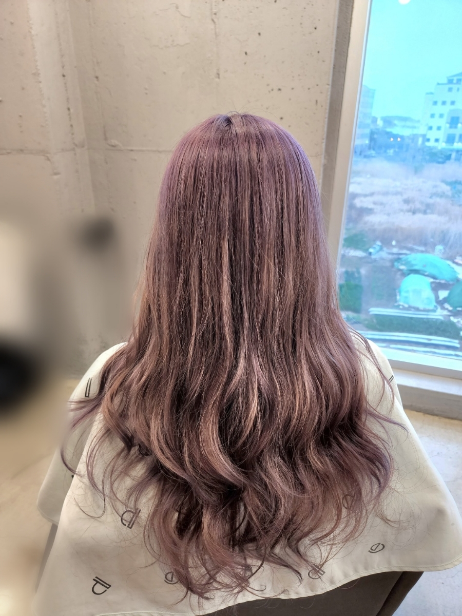 란훈빠마 이미지