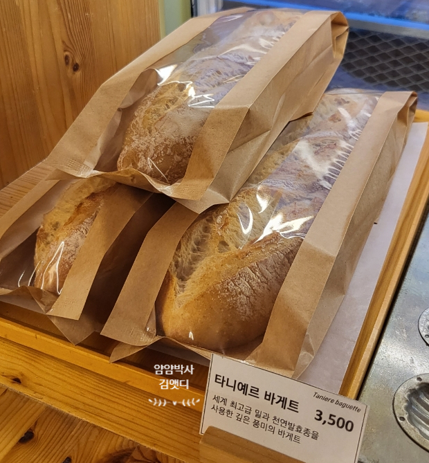 타니예르 이미지