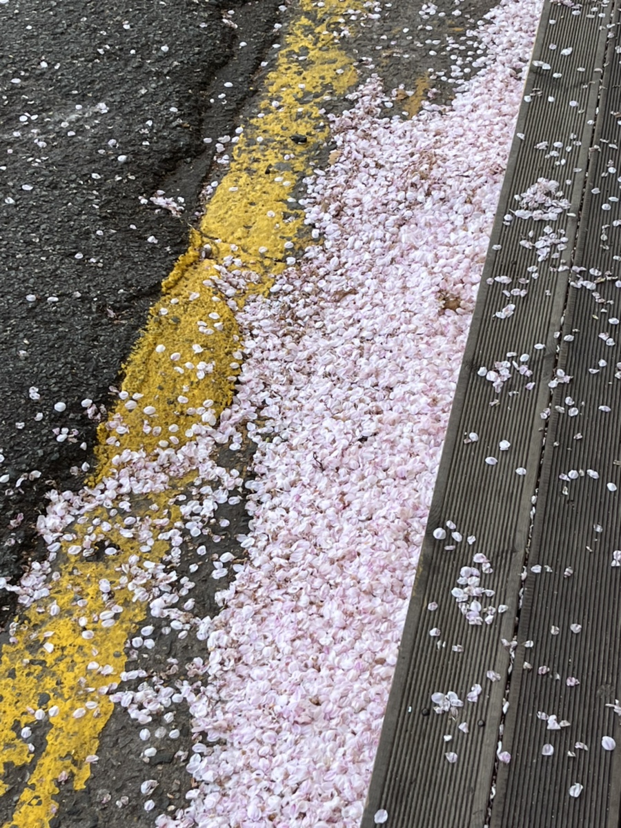 윤다영미용실 이미지
