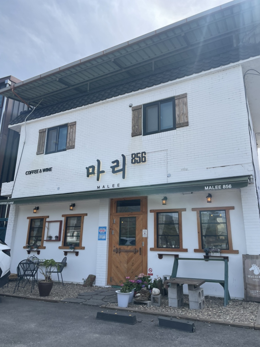 마리856 이미지